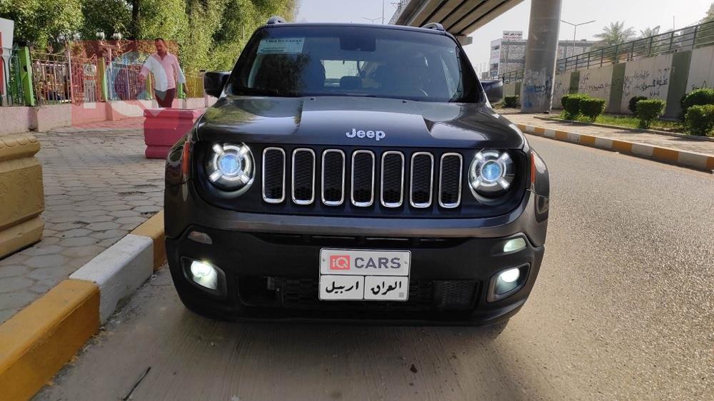 جيب رينيجيد